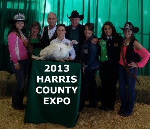 2013 Harris County Expo